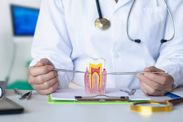Best Pediatric Emergency Dentist in Tidmore Bend, AL